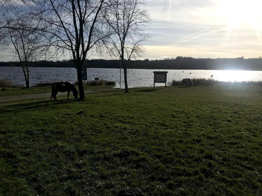 Gite A La Campagne Au Bord D'Un Lac 8 Personnes Saint-Quentin-sur-Charente Exterior photo